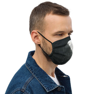 Lester Train Tracks Premium face mask