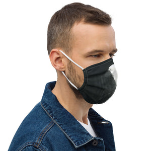 Lester Train Tracks Premium face mask