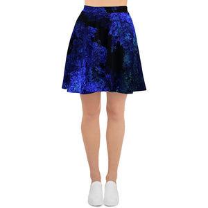 Descanso Skater Skirt