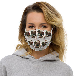 Santa Christmas Premium face mask